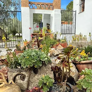 https://inviting-cottage-in-orgiva-with-a-private-swimming-pool.es-andalucia.com